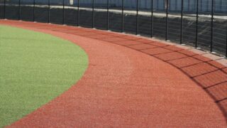 野球場大事典 野球場大事典 野球場大事典 | 沢柳 政義 |本 | 通販 |