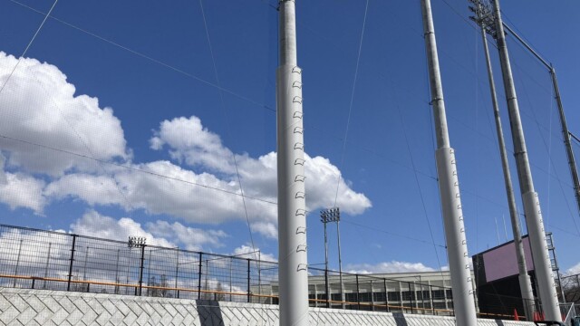 2025年3月20日撮影