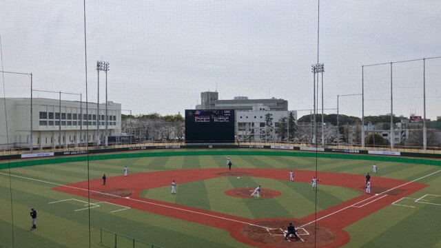 2025年3月30日撮影